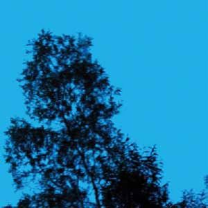 A Republic Of Sadness