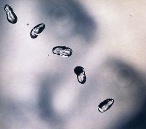 Up , Peter Gabriel