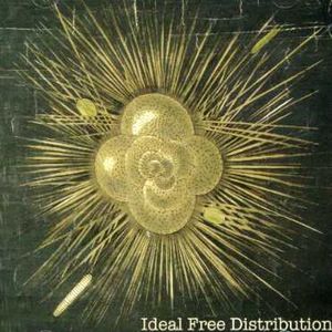 Ideal Free Distribution , Ideal Free Distribution
