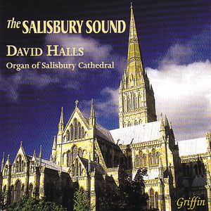 Salisbury Sound /  Various