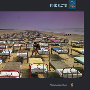 A Momentary Lapse Of Reason -  Pink Floyd