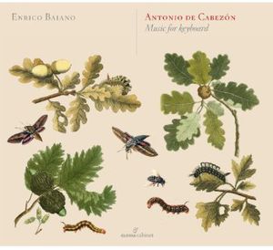 Music for Keyboard , Enrico Baiano