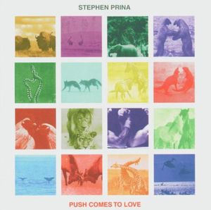 Push Comes to Love , Stephen Prina