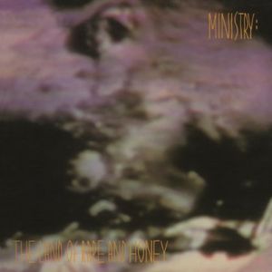 Land of Rape & Honey [Import] , Ministry