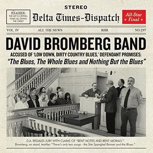 Blues The Whole Blues And Nothing But , David Bromberg