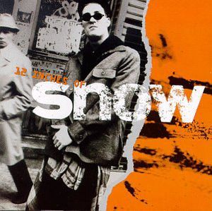 12 Inches of Snow , The Snow