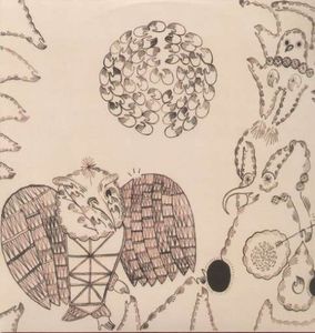 Rejoicing in the Hands / Nino Rojo , Devendra Banhart