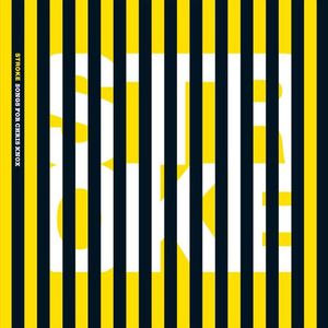 Stroke: Songs For Chris Knox , Various Artists