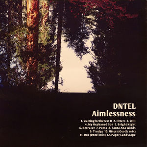 Aimlessness , Dntel