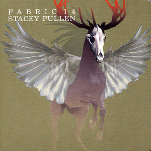 Fabric 14 , Stacey Pullen