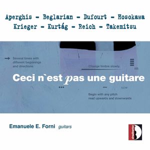 Guitar Collection 16 , Emanuele E. Forni