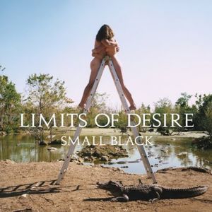 Limits of Desire , Small Black