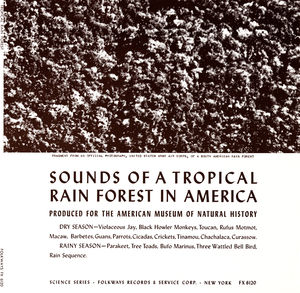 Tropical Rain Forest / Various