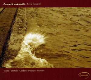 Amor Hai Vinto , Concertino Amarilli