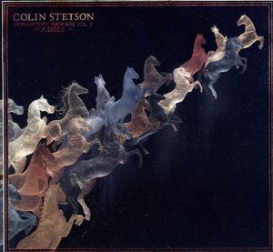 New History Warfare, Vol. 2: Judges , Colin Stetson
