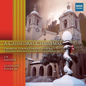 Cathedral Christmas , Lee Gwozdz