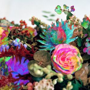 News from Nowhere , Darkstar