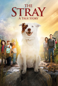 The Stray , Michael Cassidy