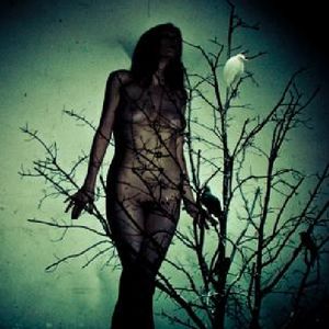An Ache for the Distance , Atlas Moth
