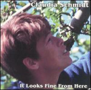 It Looks Fine from Here , Claudia Schmidt