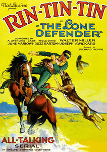 The Lone Defender