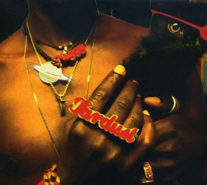 Inevitable Rise and Liberation Of Niggy Tardust! , Saul Williams
