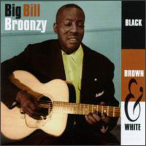 Black Brown & White , Big Bill Broonzy