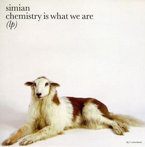 Chemistry Is What We Are [Import]