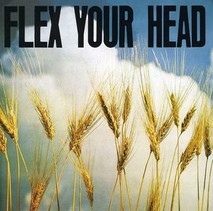 Flex Your Head , Various Artists