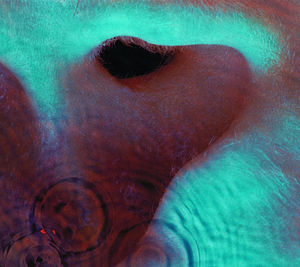 Meddle , Pink Floyd
