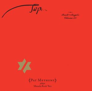 Tap: The Book Of Angels Vol. 20 , Pat Metheny