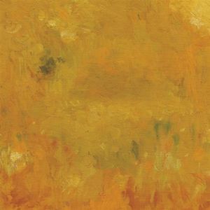 Where Leaves Block the Sun