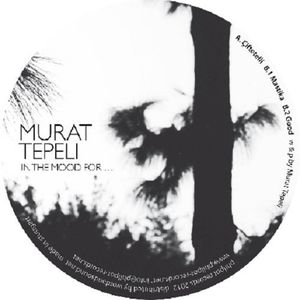 In The Mood For... , Murat Tepeli