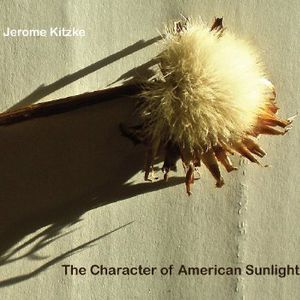 Character of American Sunlight , Jerome Kitzke