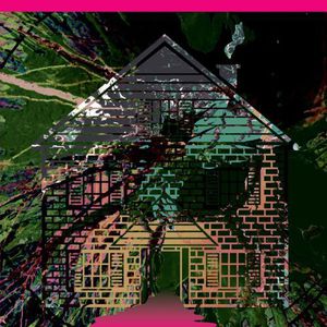 Board Up The House Remixes 5 [Limited Edition][Colored Vinyl] , Genghis Tron