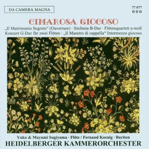 Sinfonia Concerto for 2 Flutes