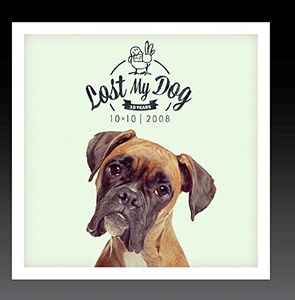 Lost My Dog 10x10 - 2008