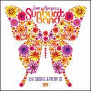 The Secret Life Of Us , Joey Negro