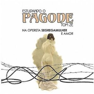 Estudando O Pagode , Tom Zé