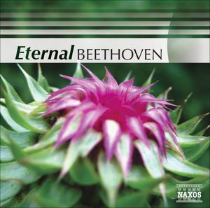 Eternal Beethoven / Various , Various Artists