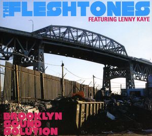 Brooklyn Sound Solution , The Fleshtones