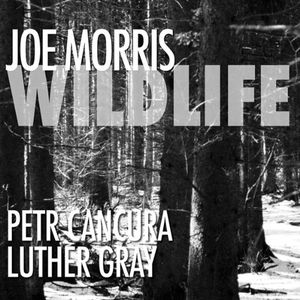 Wildlife , Joe Morris