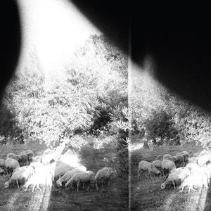 Asunder Sweet & Other Distress , Godspeed You! Black Emperor