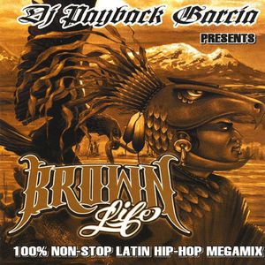 Brown Life [Explicit Content] , DJ Payback