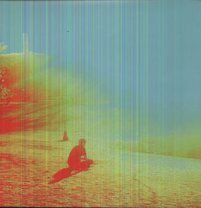 The Terror , The Flaming Lips