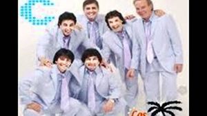 Los Numeros 1 Grandes Exitos en Vivo [Import]