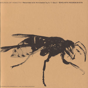 Sounds of Insects / Various , Various Artists