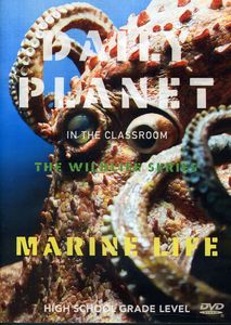 Marine Life 