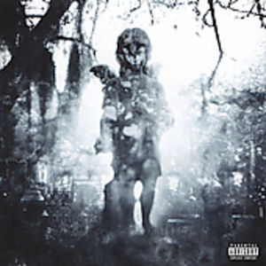 Through the Ashes of Empires [Import] , Machine Head
