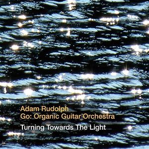 Turning Towards the Light , Adam Rudolph